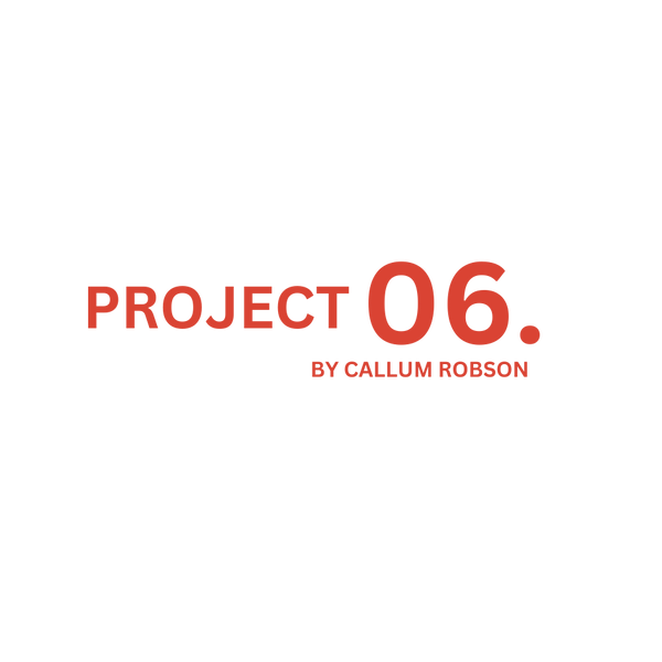 PROJECT 06.